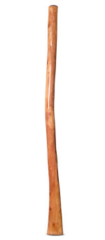 Epoxy Resin Finish Didgeridoo (NW162)